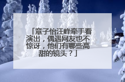 章子怡汪峰牵手看演出,偶遇网友也不惊讶,他们有哪些高甜的镜头?