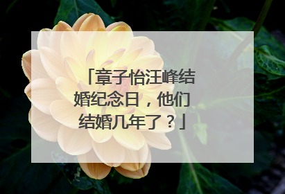 章子怡汪峰结婚纪念日，他们结婚几年了？