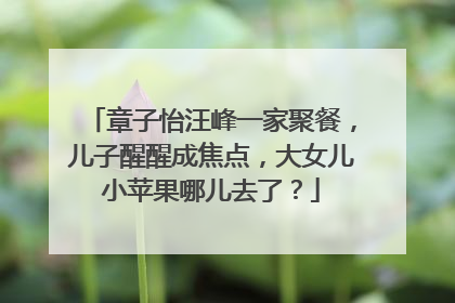 章子怡汪峰一家聚餐，儿子醒醒成焦点，大女儿小苹果哪儿去了？