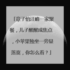 章子怡汪峰一家聚餐，儿子醒醒成焦点，小苹果独坐一旁显落寞，你怎么看？