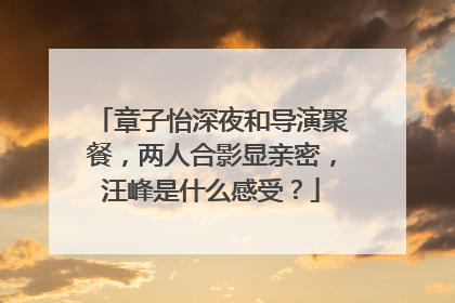 章子怡深夜和导演聚餐，两人合影显亲密，汪峰是什么感受？