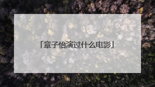 章子怡演过什么电影