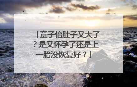 章子怡肚子又大了?是又怀孕了还是上一胎没恢复好?