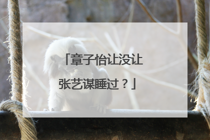 章子怡让没让张艺谋睡过？