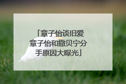 章子怡谈旧爱 章子怡和撒贝宁分手原因大曝光