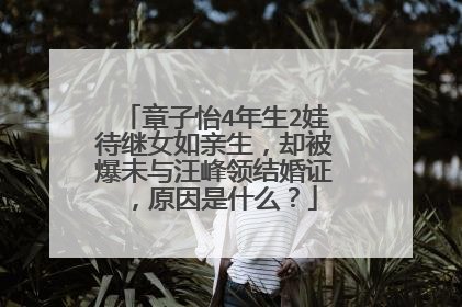 章子怡4年生2娃待继女如亲生,却被爆未与汪峰领结婚证,原因是什么?