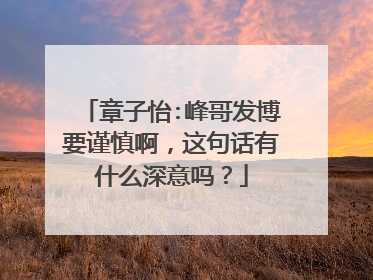 章子怡:峰哥发博要谨慎啊，这句话有什么深意吗？