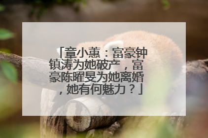 章小蕙：富豪钟镇涛为她破产，富豪陈曜旻为她离婚，她有何魅力？