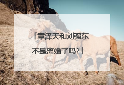 章泽天和刘强东不是离婚了吗?