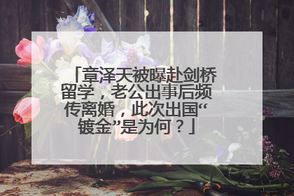 章泽天被曝赴剑桥留学,老公出事后频传离婚,此次出国“镀金”是为何?