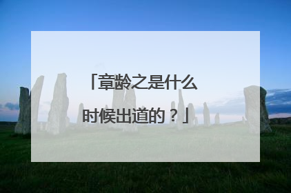 章龄之是什么时候出道的？
