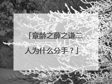 章龄之薛之谦二人为什么分手?