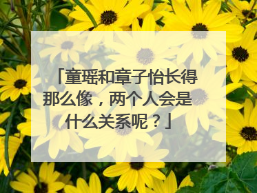 童瑶和章子怡长得那么像,两个人会是什么关系呢?