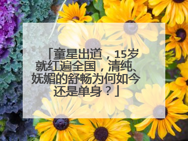 童星出道,15岁就红遍全国,清纯、妩媚的舒畅为何如今还是单身?