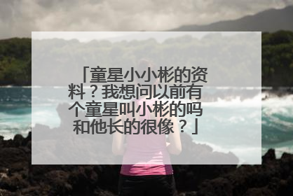 童星小小彬的资料？我想问以前有个童星叫小彬的吗和他长的很像？