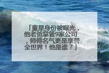 童星身份被曝光，他老爸掌管9家公司，师傅名气更是享誉全世界！他是谁？