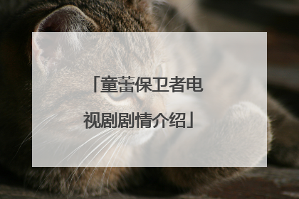 童蕾保卫者电视剧剧情介绍