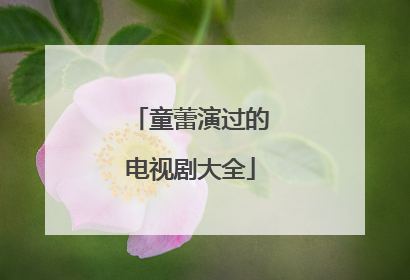 童蕾演过的电视剧大全