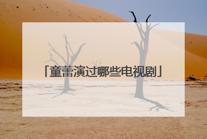 童蕾演过哪些电视剧