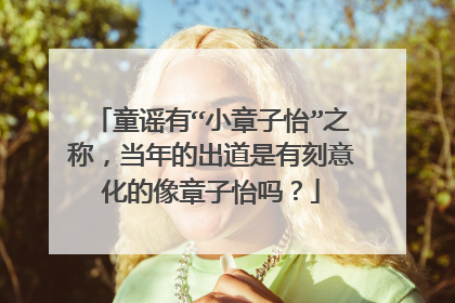 童谣有“小章子怡”之称,当年的出道是有刻意化的像章子怡吗?
