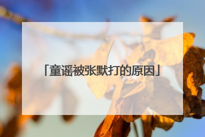 童谣被张默打的原因
