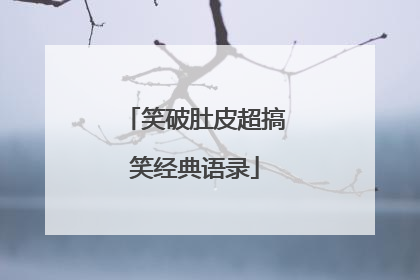 笑破肚皮超搞笑经典语录