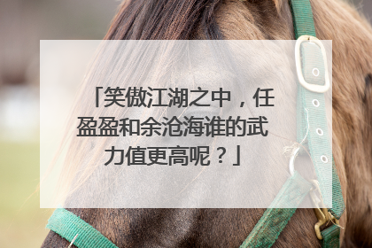 笑傲江湖之中,任盈盈和余沧海谁的武力值更高呢?