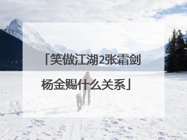 笑傲江湖2张霜剑杨金赐什么关系