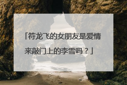 符龙飞的女朋友是爱情来敲门上的李雪吗?