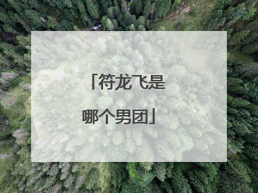 符龙飞是哪个男团