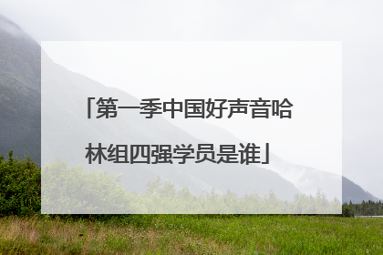 第一季中国好声音哈林组四强学员是谁
