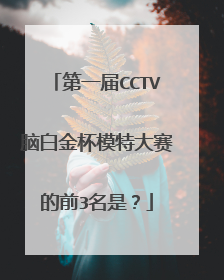 第一届CCTV脑白金杯模特大赛的前3名是？