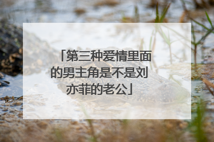 第三种爱情里面的男主角是不是刘亦菲的老公