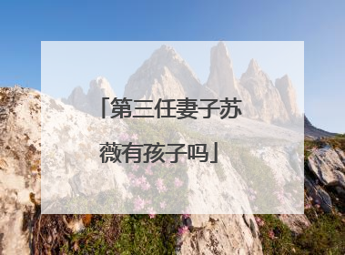 第三任妻子苏薇有孩子吗