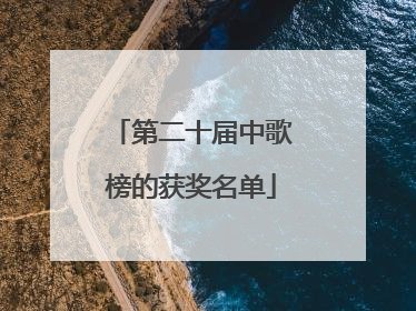 第二十届中歌榜的获奖名单