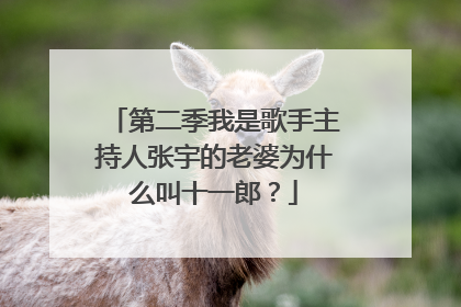 第二季我是歌手主持人张宇的老婆为什么叫十一郎?