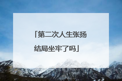 第二次人生张扬结局坐牢了吗