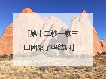 第十二秒一家三口团聚了吗结局