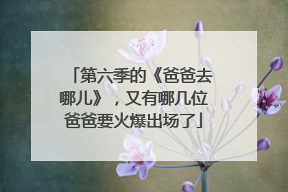 第六季的《爸爸去哪儿》，又有哪几位爸爸要火爆出场了