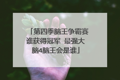 第四季脑王争霸赛谁获得冠军 最强大脑4脑王会是谁