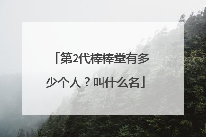 第2代棒棒堂有多少个人?叫什么名