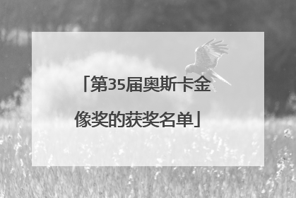 第35届奥斯卡金像奖的获奖名单