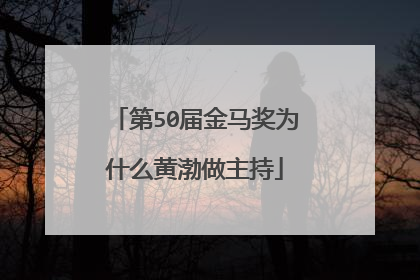 第50届金马奖为什么黄渤做主持