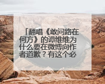 翻唱《敢问路在何方》的谭维维为什么要在微博向作者道歉?有这个必要吗?