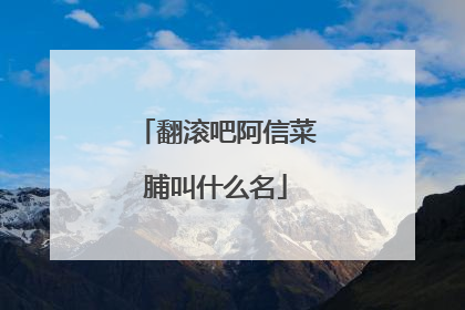 翻滚吧阿信菜脯叫什么名