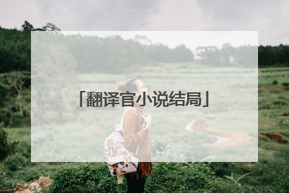 翻译官小说结局