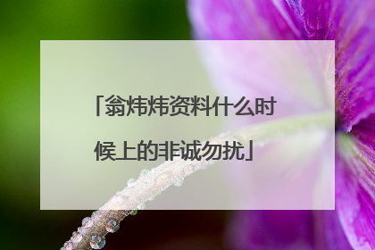 翁炜炜资料什么时候上的非诚勿扰