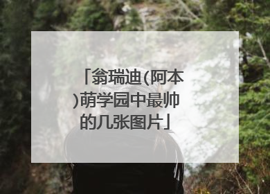 翁瑞迪(阿本)萌学园中最帅的几张图片