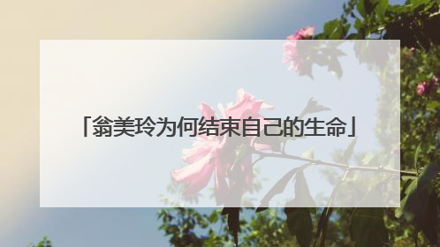 翁美玲为何结束自己的生命