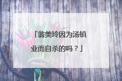 翁美玲因为汤镇业而自杀的吗？